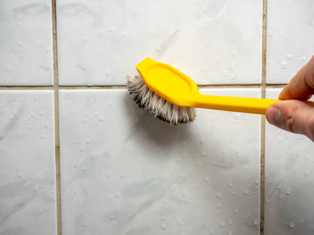 Best Mold Cleaning Services  in Boardman, OR