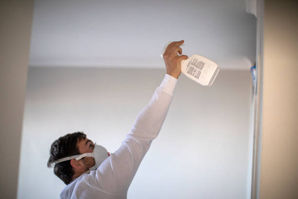 Best Black Mold Removal  in Boardman, OR